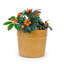 3 pots de fleurs en céramique, pot de fleurs moderne pour patio, jardin ou rebords de fenêtre-585251101