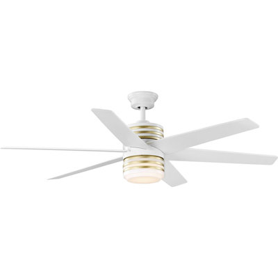 Carrollwood 56'' Ceiling Fan with LED Lights