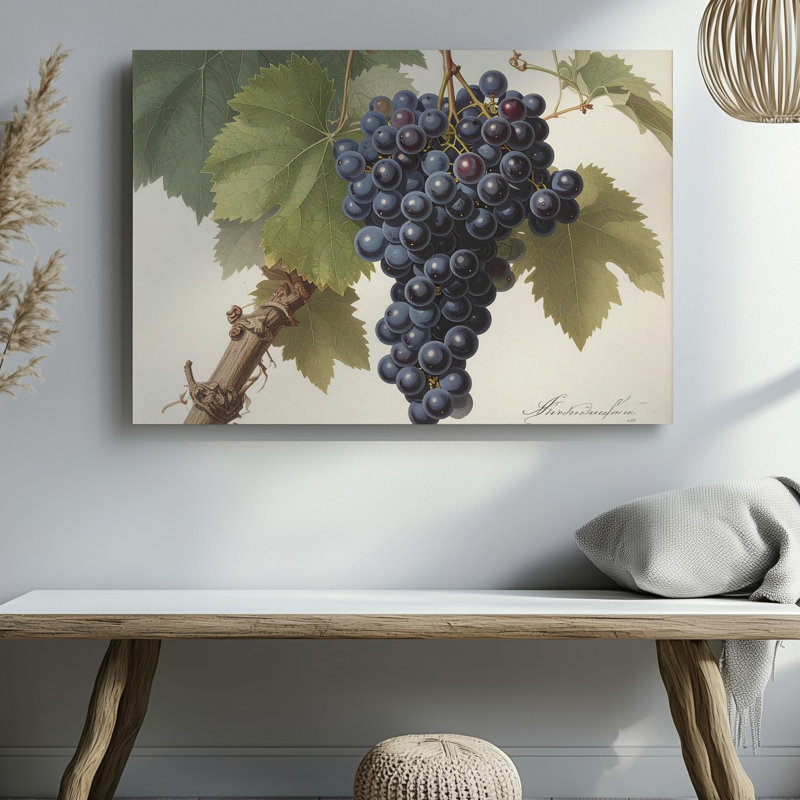 Art mural classique sur toile de raisin foncé botanique rétro, H 30 po x l 40 po