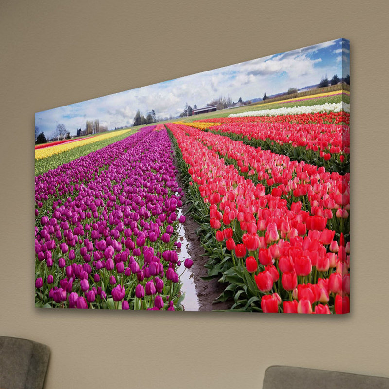 « skagit valley tulips » par sylvia cook, reproduction d’art sur toile tendue, H 12 po x l 18 po x P 1,5 po