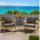 Lanie Eucalyptus Patio Chair With Cushion - Set Of 2 