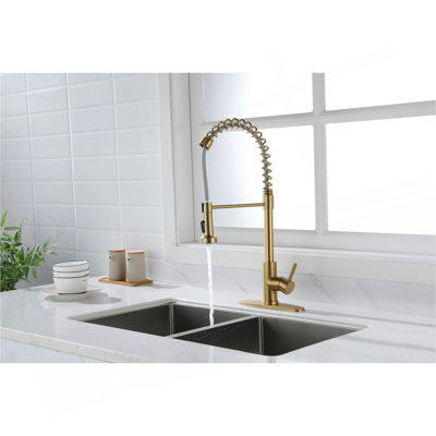 WOERMEI Kitchen Faucet