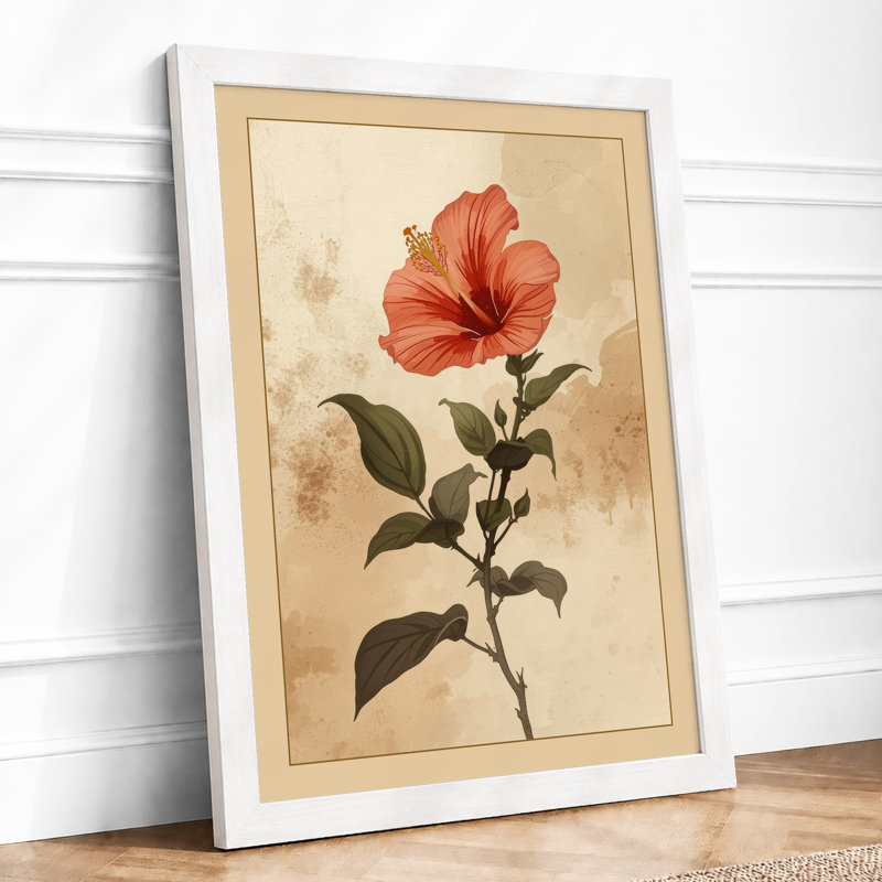 Hibiscus Study Botanical - Framed Print, A1 - 84.1 x 59.4 cm, White