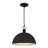 Braylon 1-Light Matte Black Pendant Light