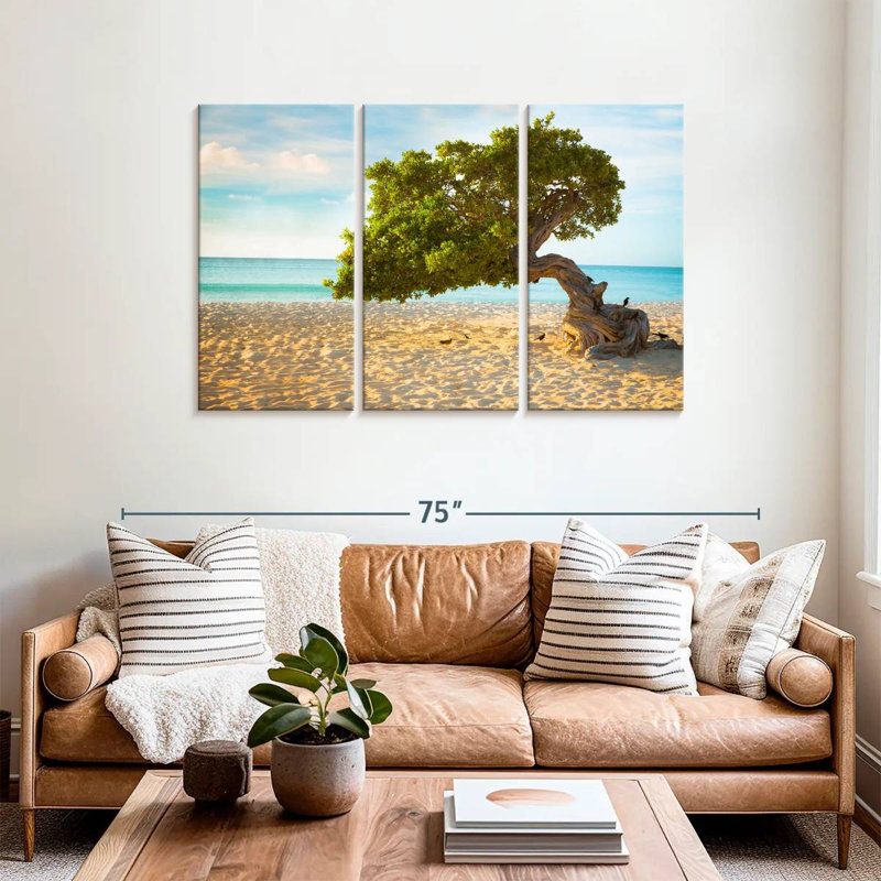 Arbre Gillard Divi-Divi à Aruba, H 36 po x l 57 po