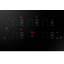 Dacor 36'' W Electric Cooktop