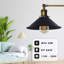 Alizeh Wall Sconce