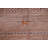 Hand Knotted Cotton Rug