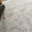 Tapis oriental crème / gris Wilmont-587318509