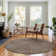 Premium Machine Washable Prisco Chocolate Rug
