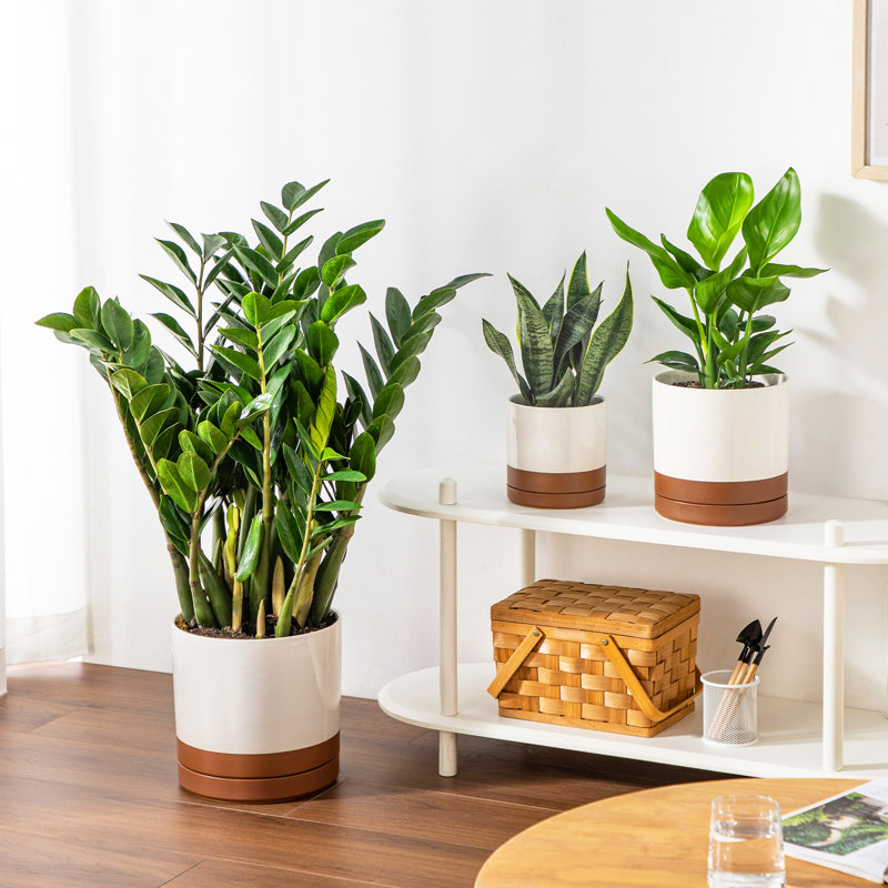 FLHPOT Ceramic Pot Planter, Khaki