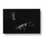 Guitarist in the Shadows - Wrapped Canvas-55360310