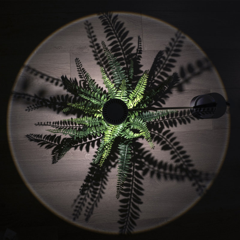 Lampe de table: Polaris, Noir
