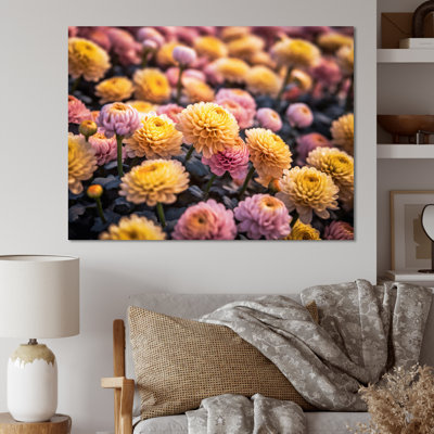 «Yellow Yellow Pink Chrysanthemums Field» sur impression sur toile