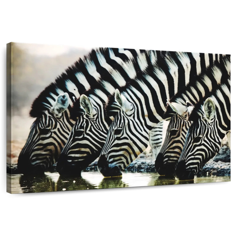 Brampt Scheveningen Zebras, 16" H x 24" W