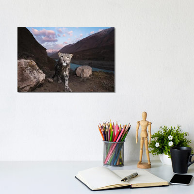 Snow Leopard Wild Female, Sarychat-Ertash Strict Nature Reserve, Tien Shan Mountains, Eastern Kyrgyzstan by Sebastian Kennerknecht - Wrapped Canvas Gallery-Wrapped Canvas Giclée