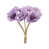 Purple selected