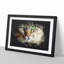 Portrait of a Cat Vol.6 - Picture Frame Graphic Art-62804152-62804153