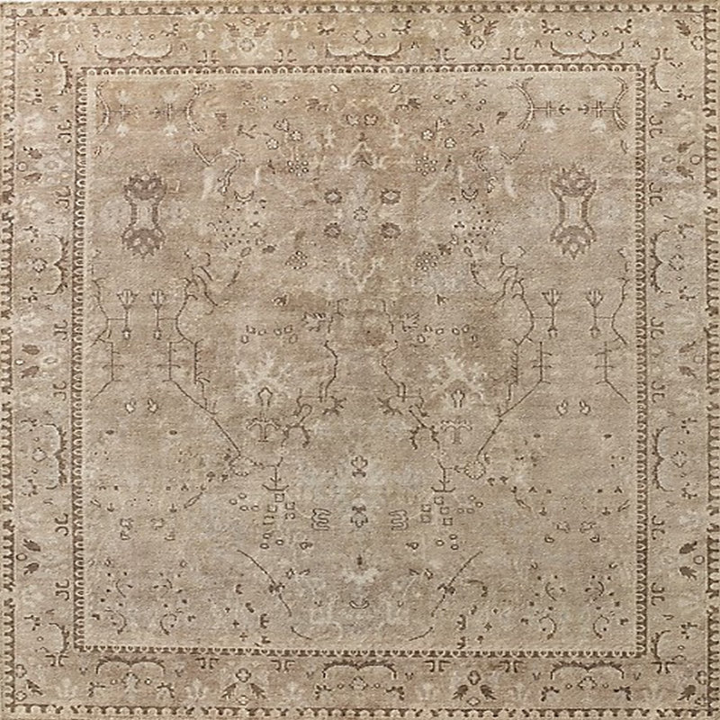 Itzel Oriental Indoor Rug, Square 5'