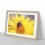 Bee Collecting Pollen in Abstract - Picture Frame Painting Print on MDF-55685876-55685870