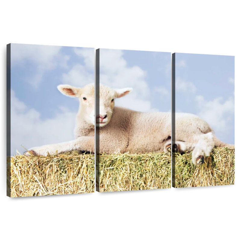 Young Sheep, 20" H x 33" W
