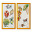 «Set of Apple Botanist II», ensemble de 2 impressions sur toile-950474913-950474914