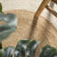 Tapis crème / naturel Adwin-984342980
