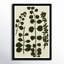 Branches Print by Susan Hable
