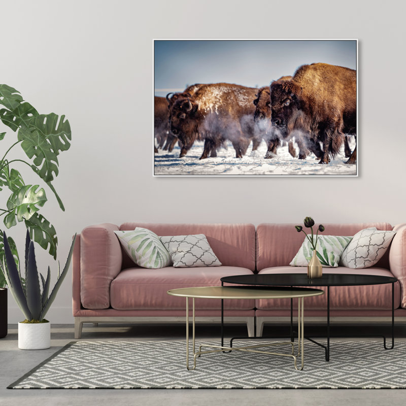 Buffalo Herd In A Snow Landscape Print, 37" H x 55" W, White Framed