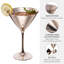 2 Piece 237ml Martini Glass Set