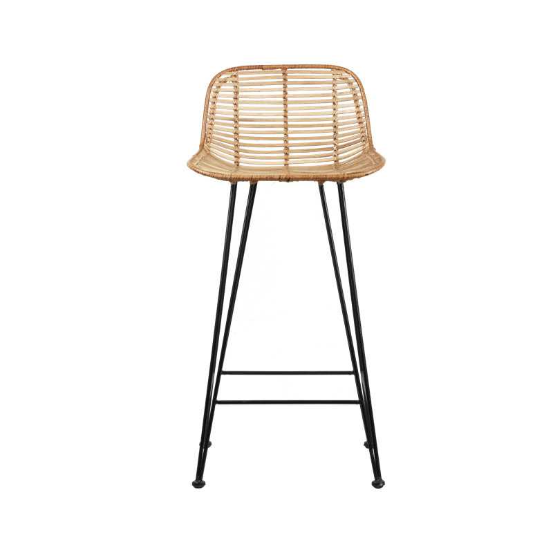 Broomall Counter Stool with Metal Frame