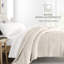 Édredon simple toutes saisons Chisolm-21298637-21298631