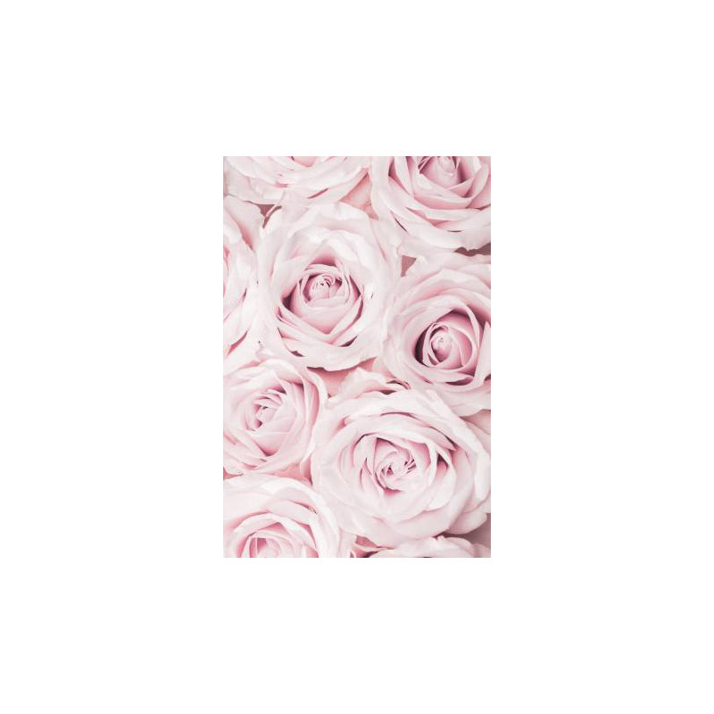 Wrapped Canvas Print, 50.8cm H x 76.2cm W