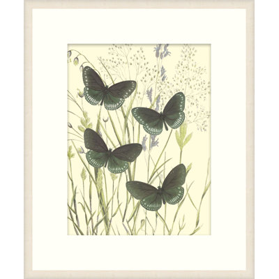 Mariposas 4 Print