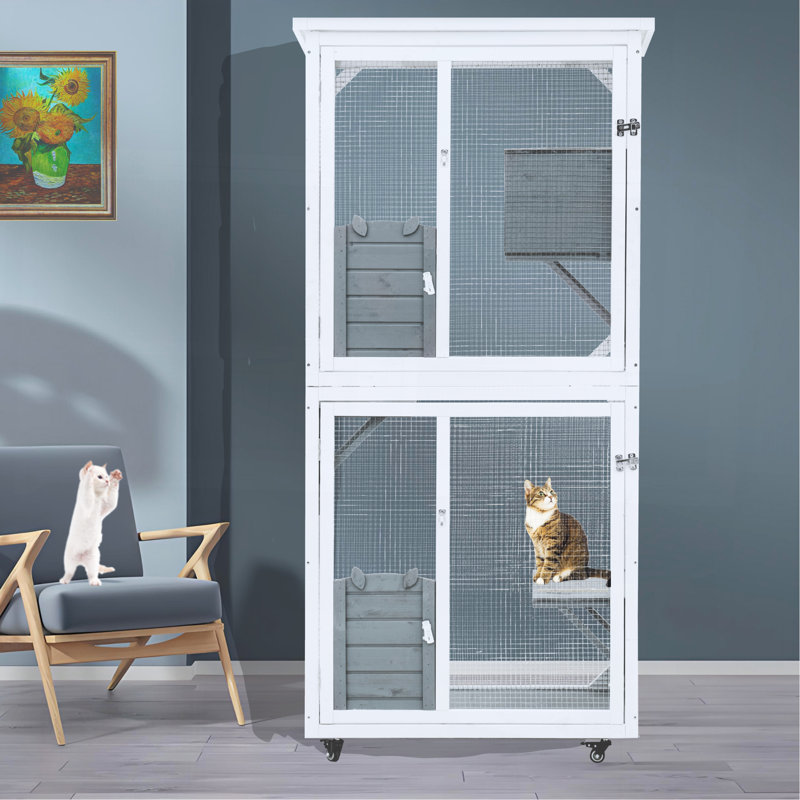Cage à grimper pour l'extérieur