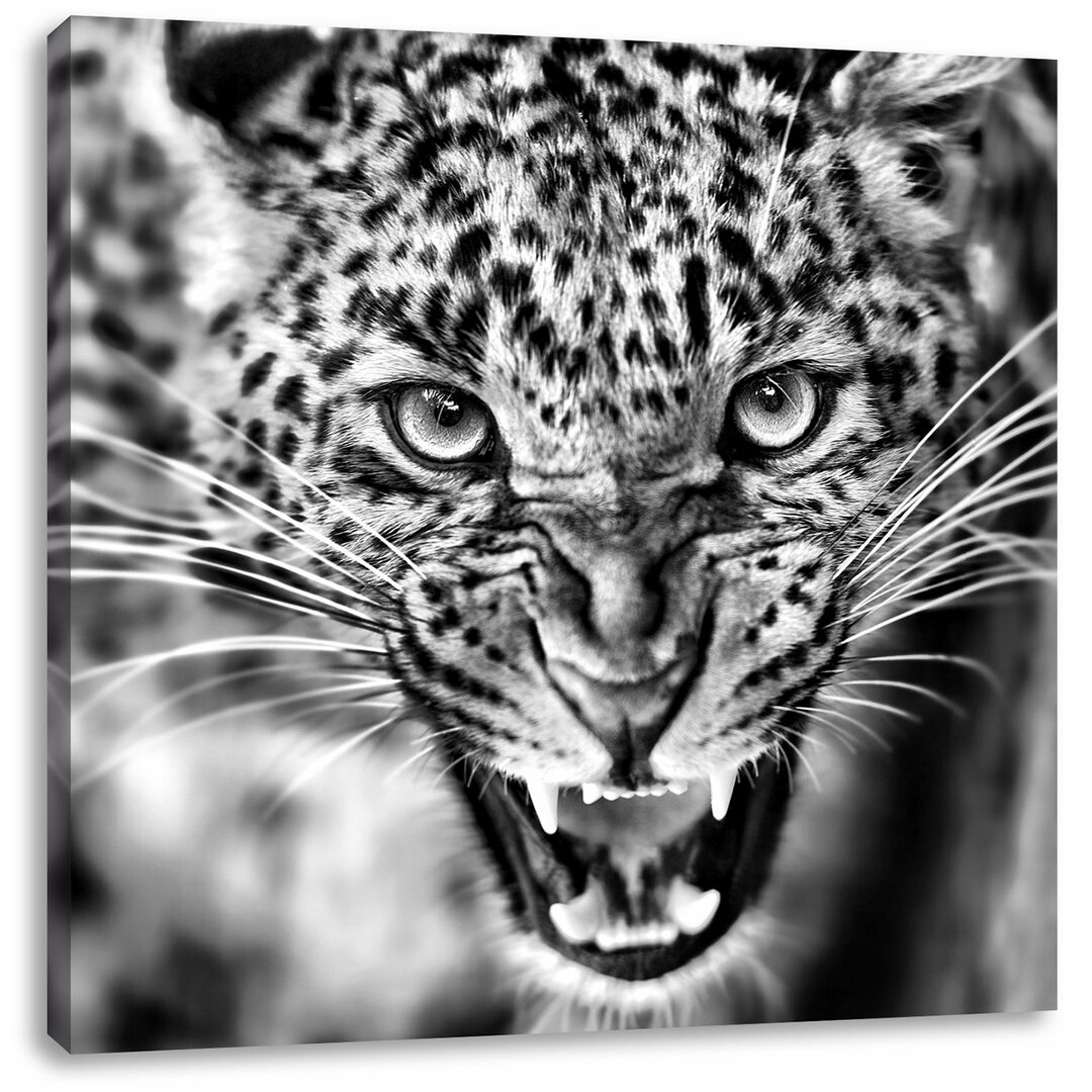 Leinwandbild Fauchender Leopard