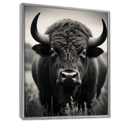 Bison Bison Grazing - Bison Wall Art