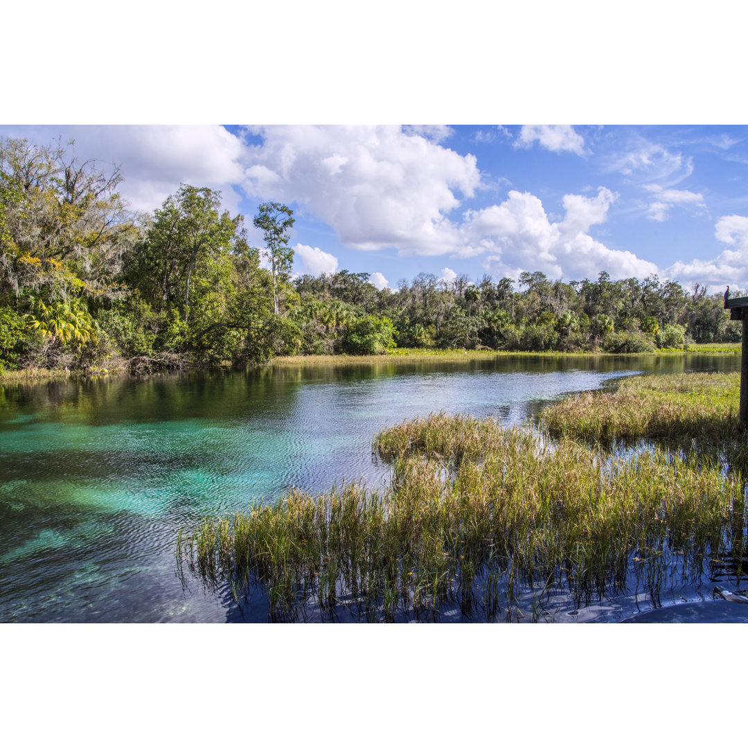 Rainbow Springs Landscape von CampPhoto - Kunstdrucke auf Leinwand ohne Rahmen