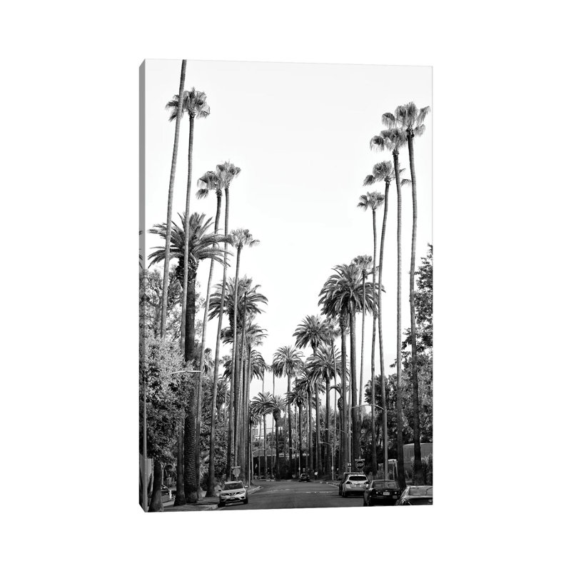 Black California Series - Los Angeles Palm Trees - Wrapped Canvas Print, 20.32 cm H x 30.48 cm W