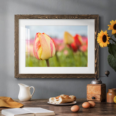 Sorbet printanier