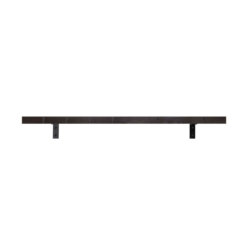 Rayne Plate Display Shelves With Hooks, 54/3/2, Ebony