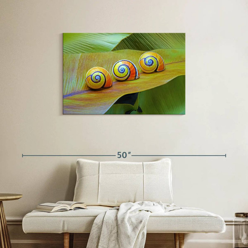 Brampt Cuban Snails, 24" H x 36" W