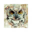 Owl II 1 Piece Wrapped Canvas Painting-817794952