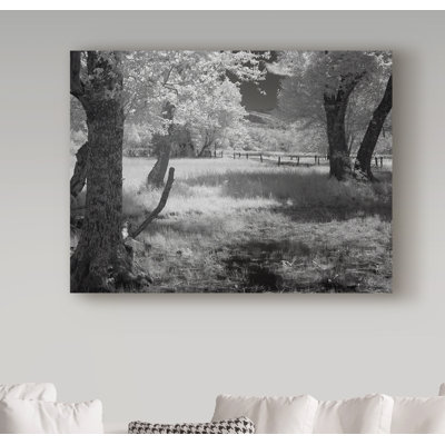 Garv «Smokies Ir 1», reproduction de photo sur toile tendue