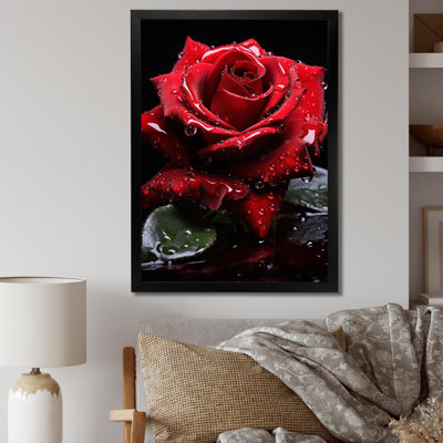 Danylo " Red Black Rose Elegance III "