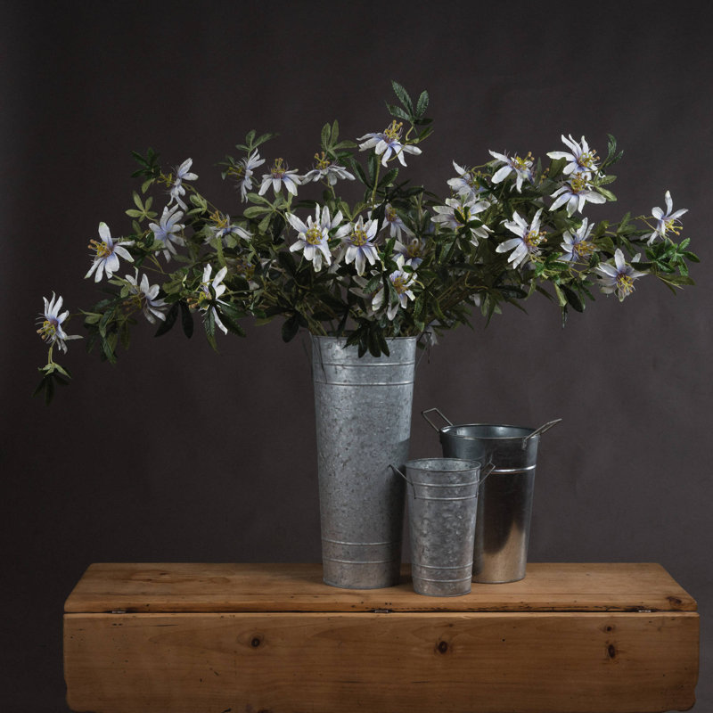 Anastasija Arrangement