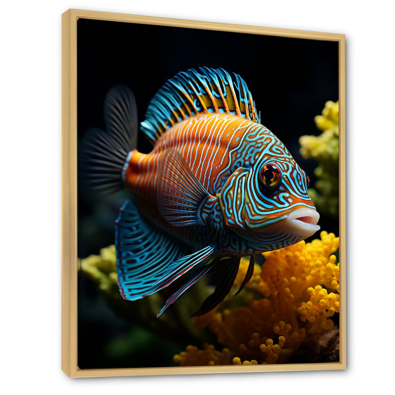 Corail papillon et aigue-marine - poisson, art mural, salon, Cadre naturel flottant, H 40 po x l 30 po