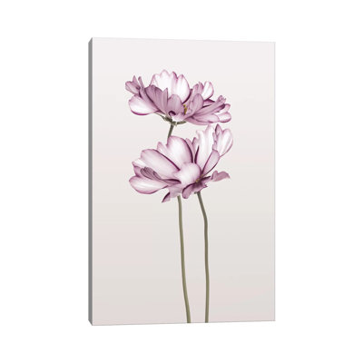 Cosmos II - Print on Canvas