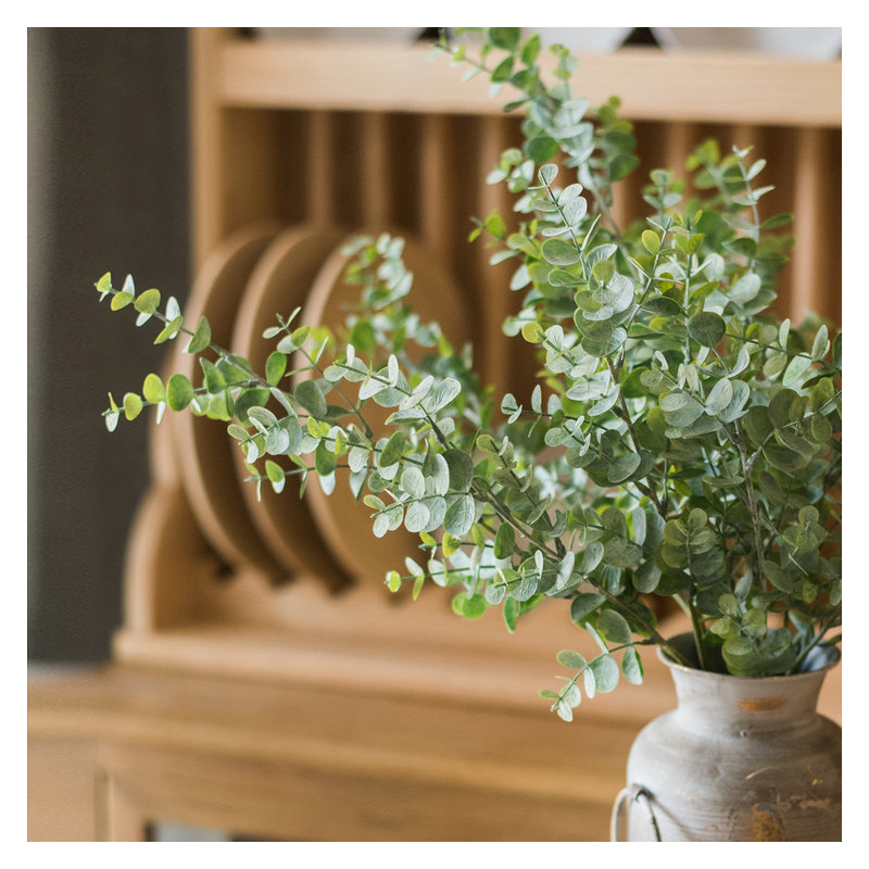 Tige de eucalyptus rustique, 5 tiges