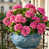 Fuchsia est en rupture de stock